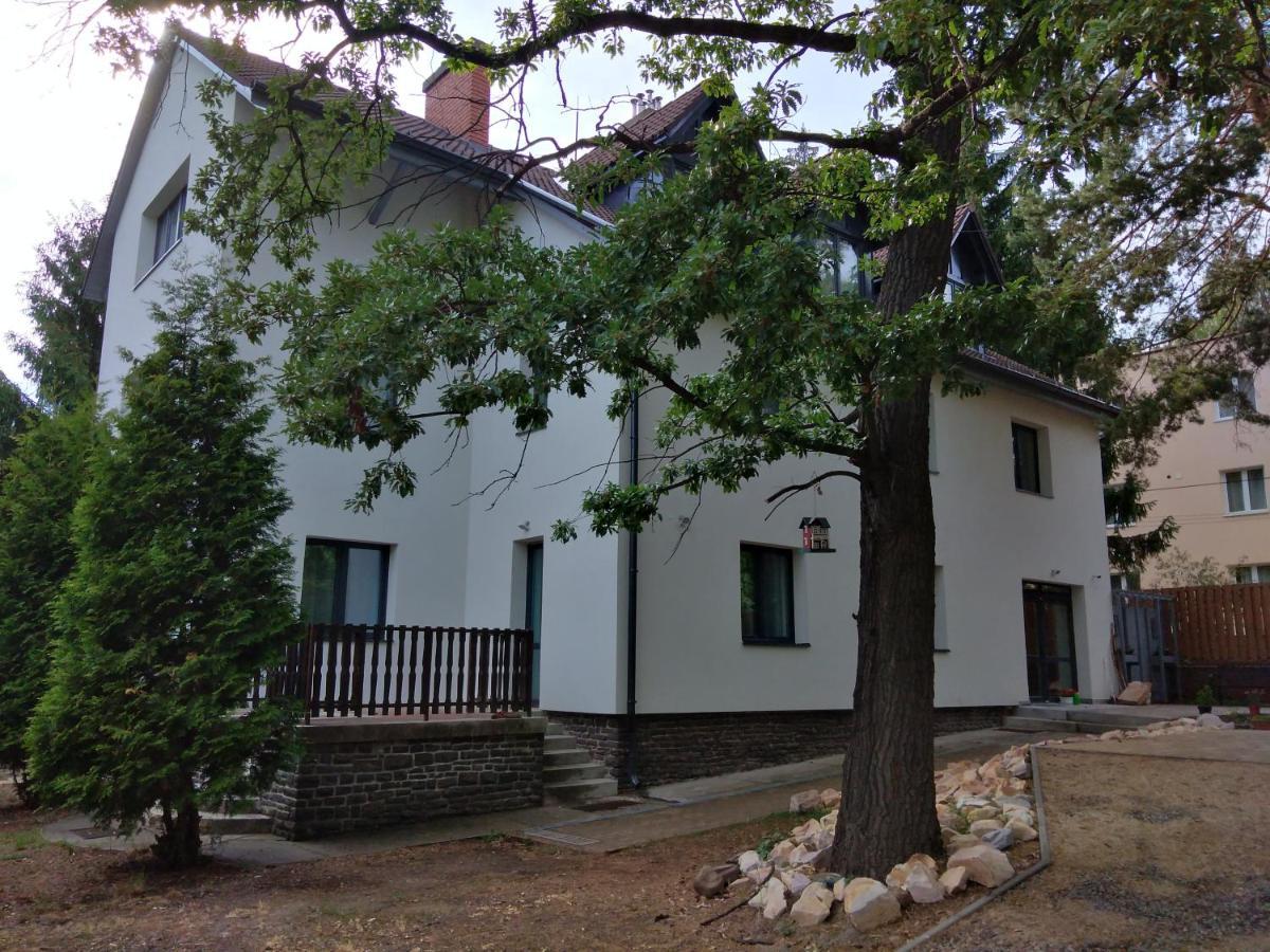 Diana Panzio Bed & Breakfast Matrafured Bagian luar foto