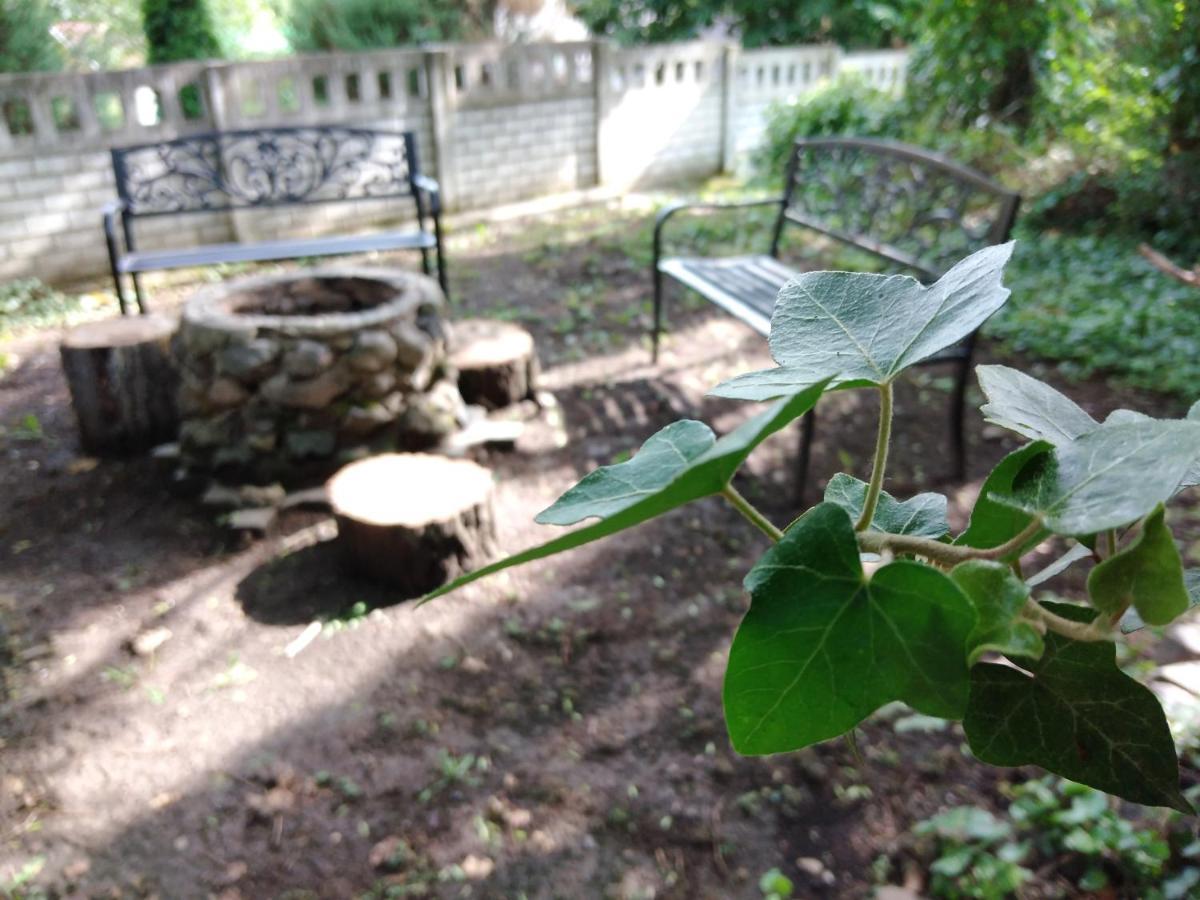 Diana Panzio Bed & Breakfast Matrafured Bagian luar foto