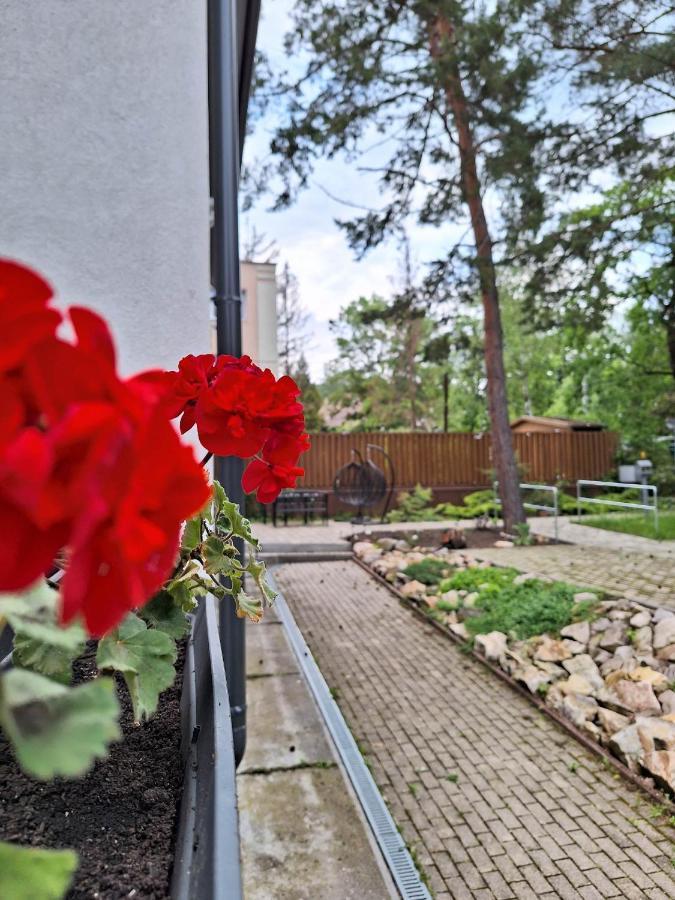 Diana Panzio Bed & Breakfast Matrafured Bagian luar foto